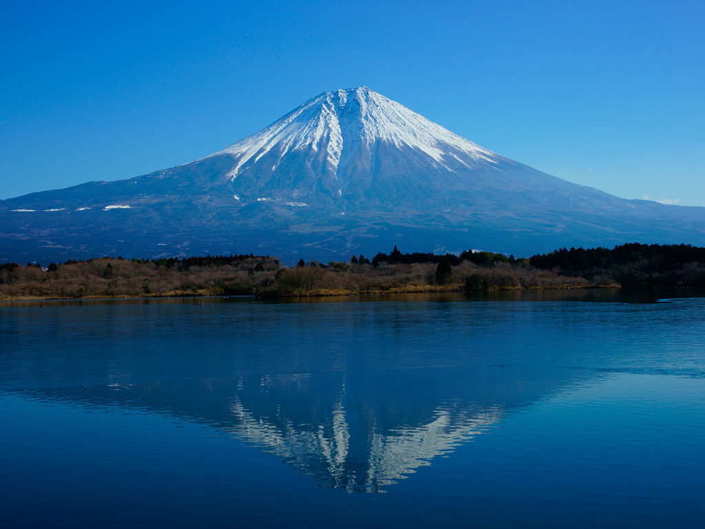 縁起の良い富士山に、明るい令和を祈念。